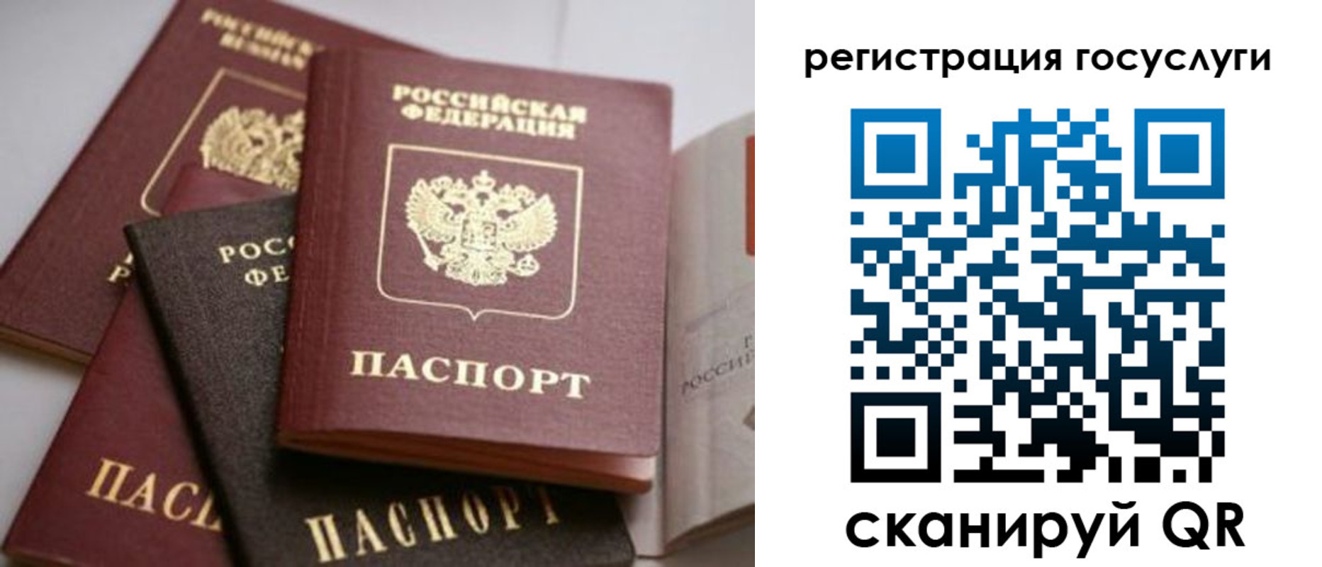 пропишу в квартире в Фокино